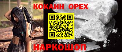 СК Кингисепп