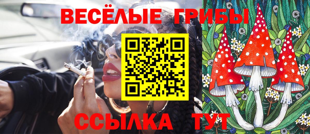 Галлюциногенные грибы мухоморы Выкса